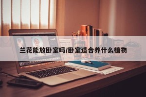 兰花能放卧室吗/卧室适合养什么植物