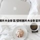 壁柜图片大全卧室/壁柜图片大全卧室效果图
