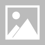 高速清明节免费时间2021(高速清明节免费到什么时候)