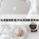 什么花能放卧室/什么花放卧室风水好