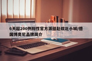 6天超200例阳性官方派组赴皖北小城/德国博奥尼品牌简介