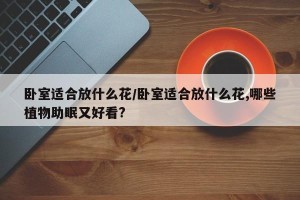 卧室适合放什么花/卧室适合放什么花,哪些植物助眠又好看?