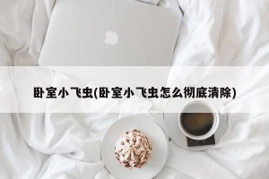 卧室小飞虫(卧室小飞虫怎么彻底清除)